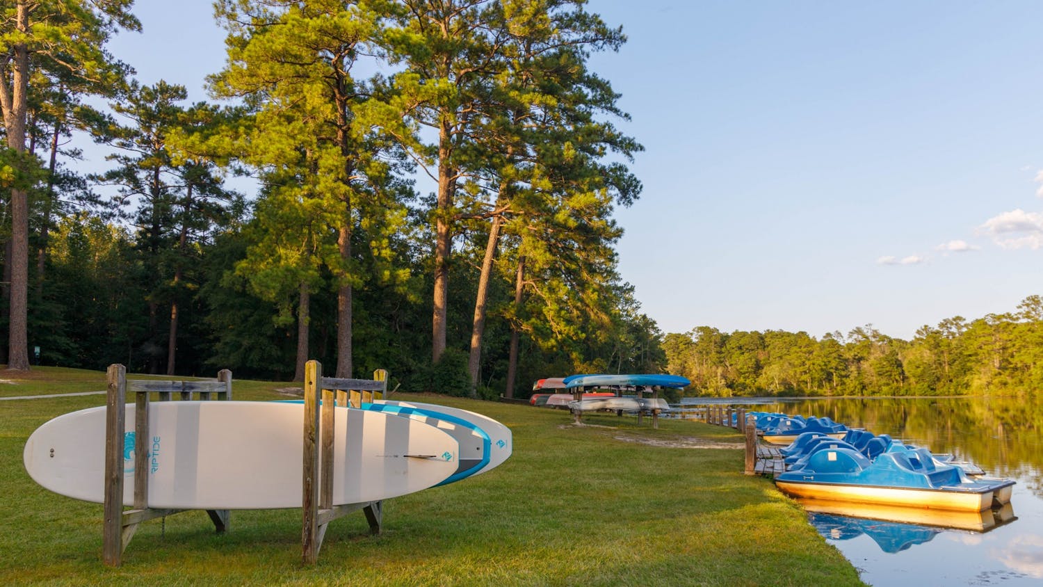 Paddle boats, canoes and water boards can be found on the side of the pond at Sesquicentennial State Park. The park also offers many spaces to hike, camp or relax.&nbsp;