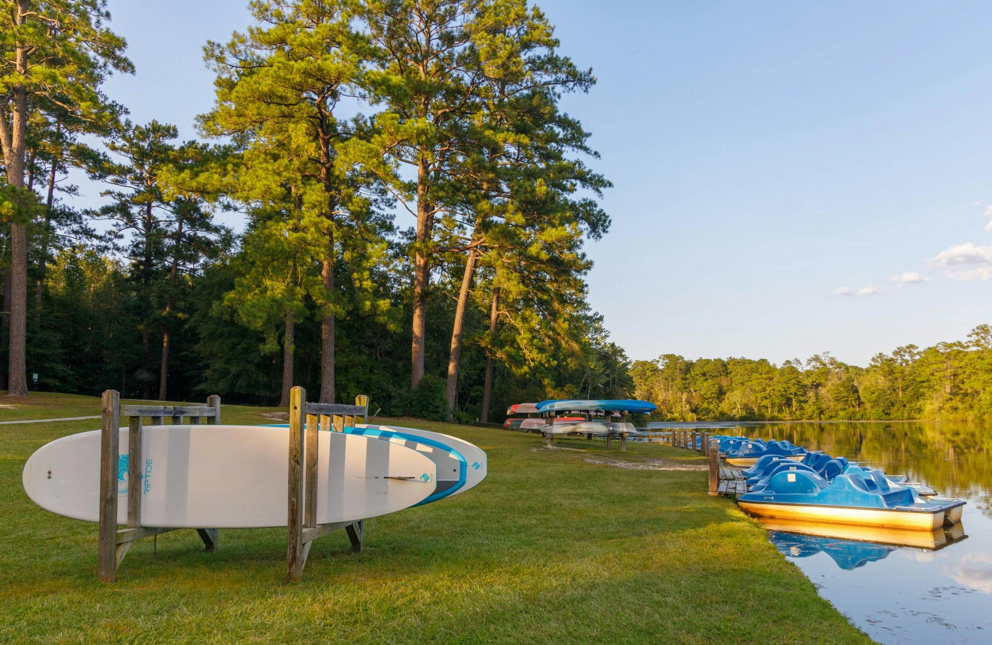 South Carolina's Hidden Gem: Sesquicentennial State Park - Where History Meets Nature