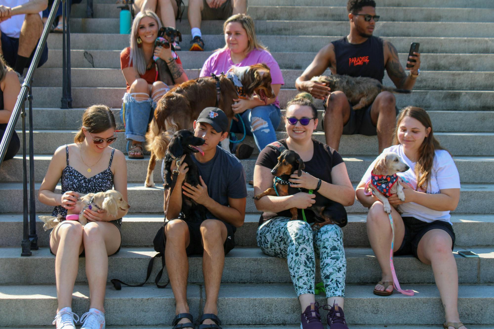 The Dachshunds of Columbia dog walking group gathers along the steps of the Statehouse with their dogs for a group picture on Sept. 17, 2022. The Columbia dog-walking group gathered with their furry friends for a walk from USC's Horseshoe to the S.C. Statehouse.