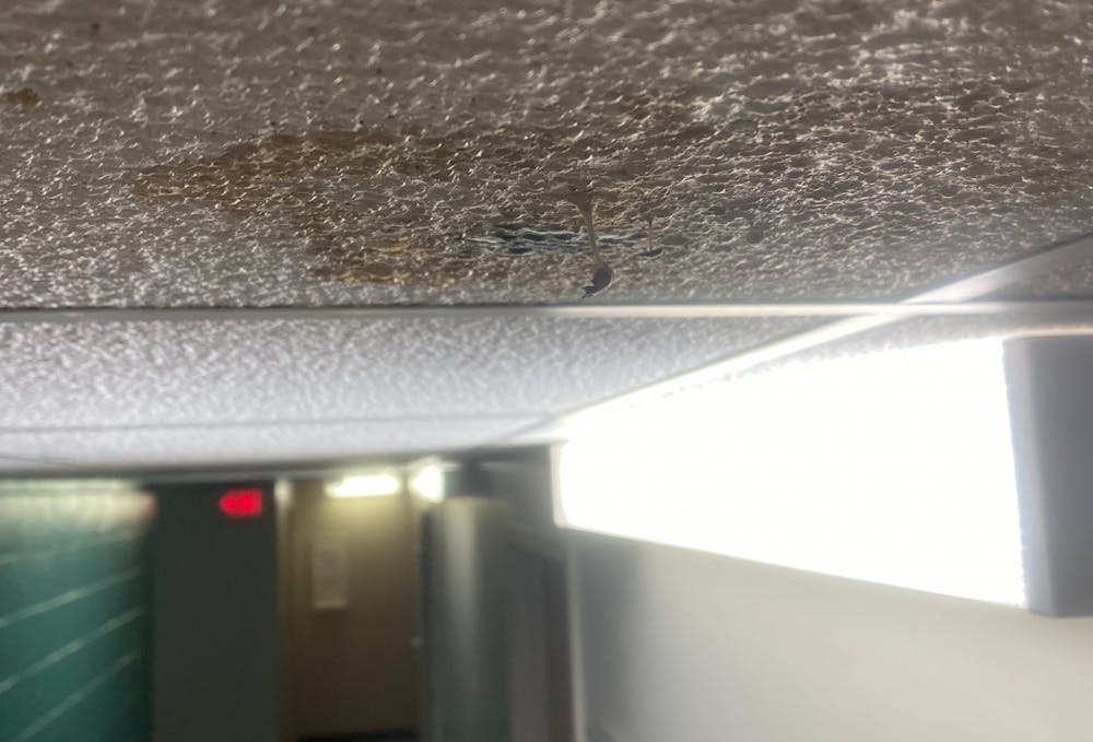 <p>Black colored mold on the ceiling of a hallway in Capstone in January 2021. Fourth-year public health student Kendall Guthrie found the mold when returning to campus after winter break.</p>