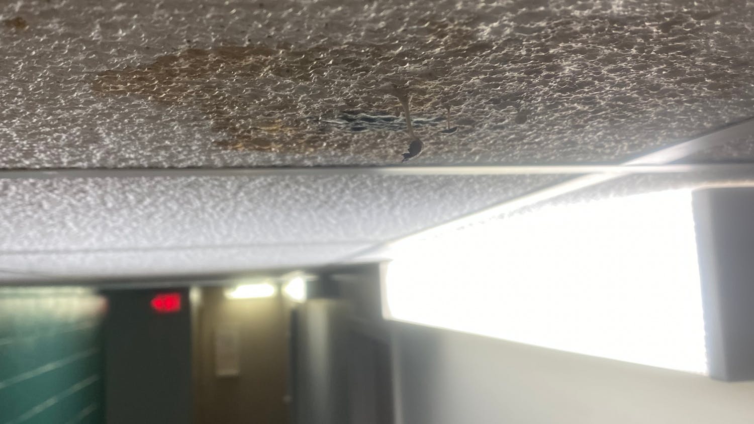 Black colored mold on the ceiling of a hallway in Capstone in January 2021. Fourth-year public health student Kendall Guthrie found the mold when returning to campus after winter break.