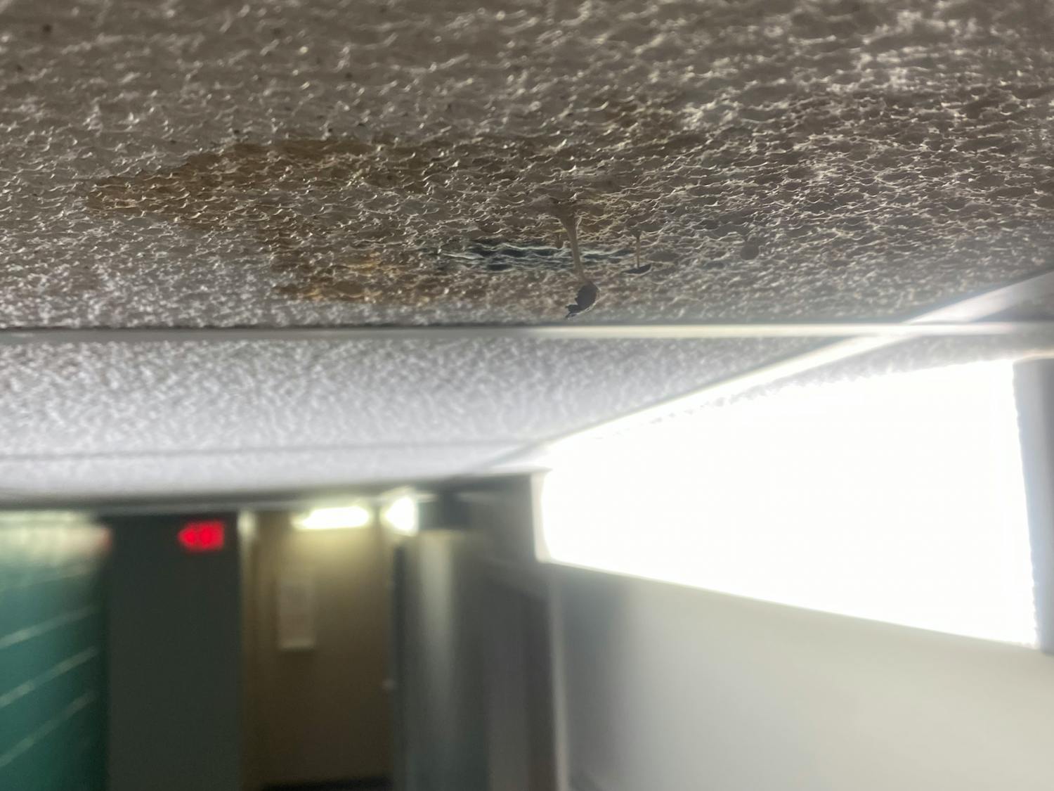 Black colored mold on the ceiling of a hallway in Capstone in January 2021. Fourth-year public health student Kendall Guthrie found the mold when returning to campus after winter break.
