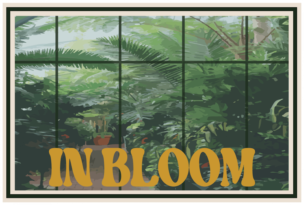 in-bloom-cover-online-02