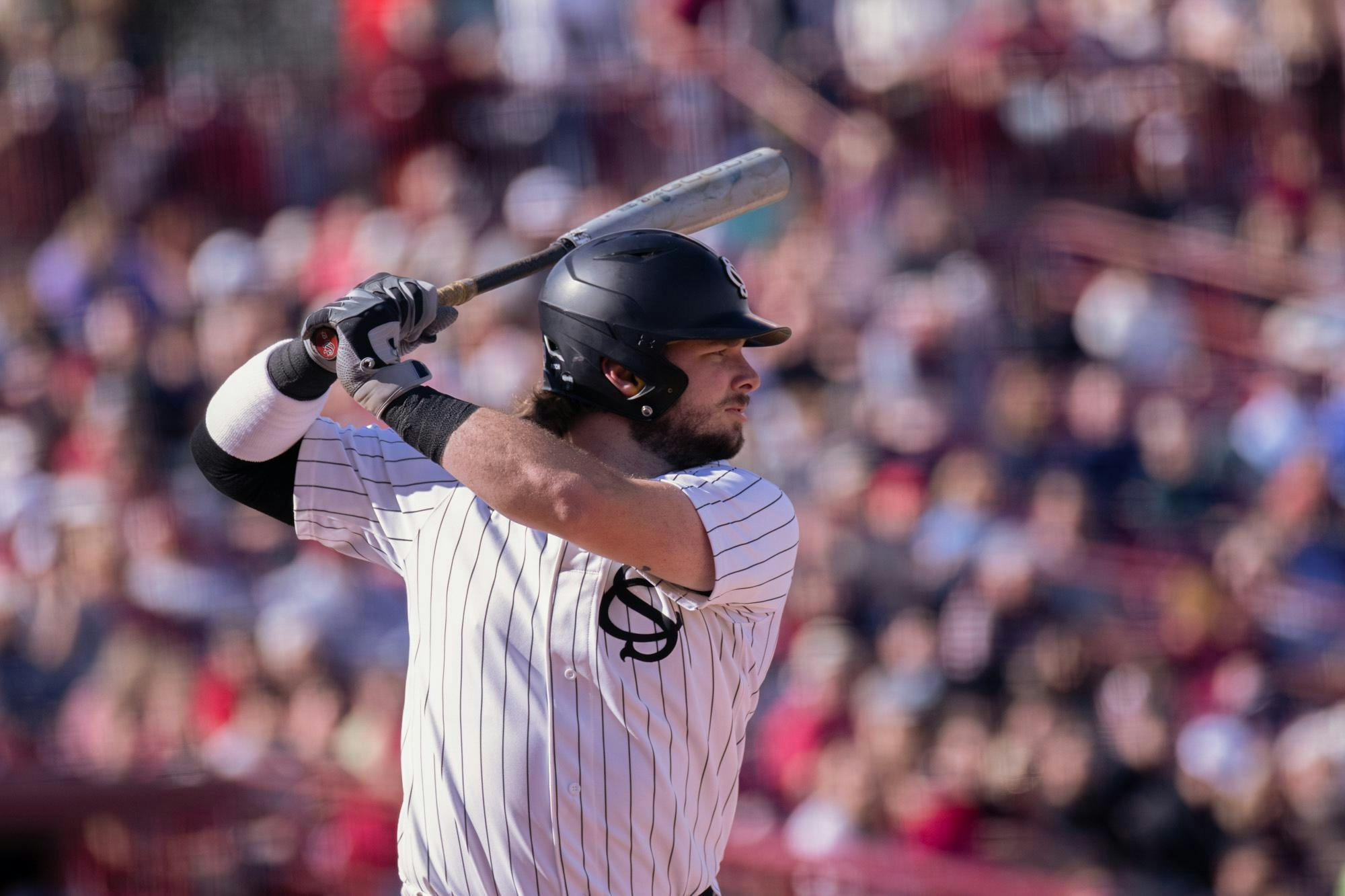 FILE- Junior catcher Cole Messina prepares to swing at a pitch on Feb. 24, 2024. Messina is a Preseason All-SEC First Team player for the 2024 season.