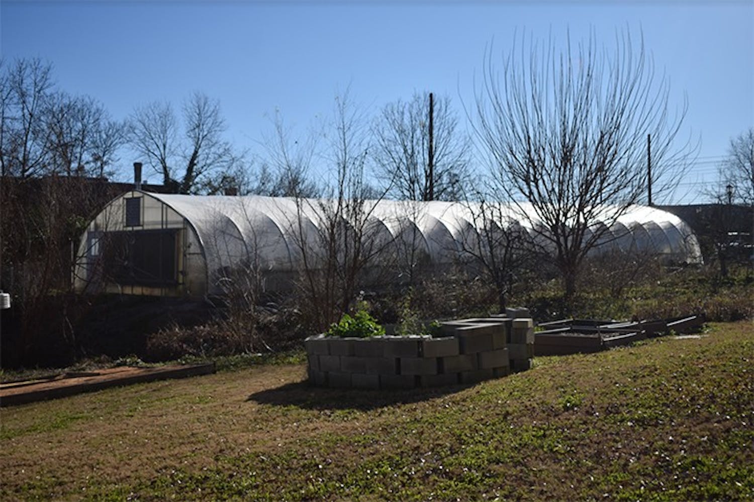 A greenhouse that is available for students and staff to grow produce at Sustainable Carolina Garden on Feb. 4, 2021.