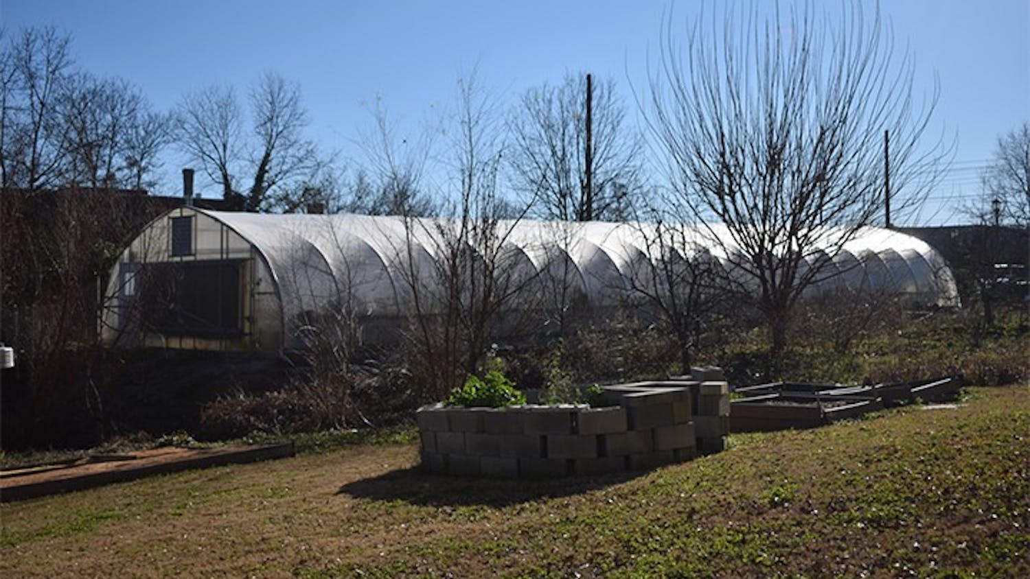 A greenhouse that is available for students and staff to grow produce at Sustainable Carolina Garden on Feb. 4, 2021.