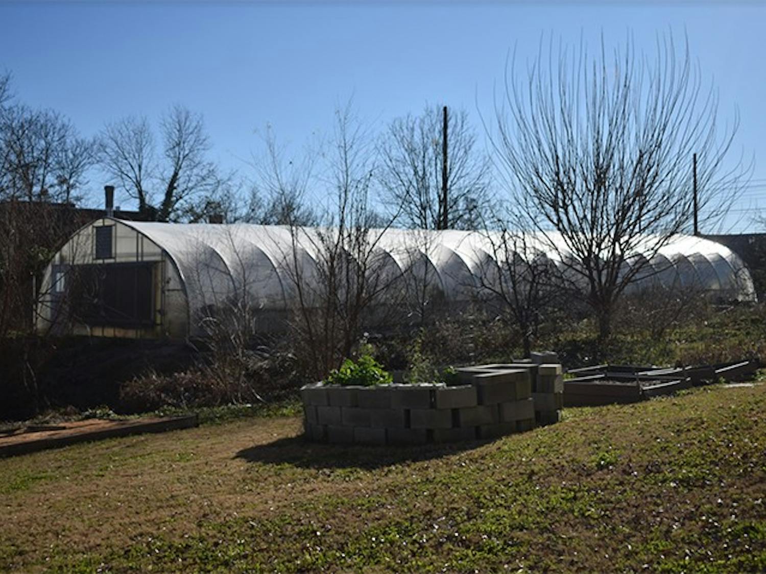 A greenhouse that is available for students and staff to grow produce at Sustainable Carolina Garden on Feb. 4, 2021.