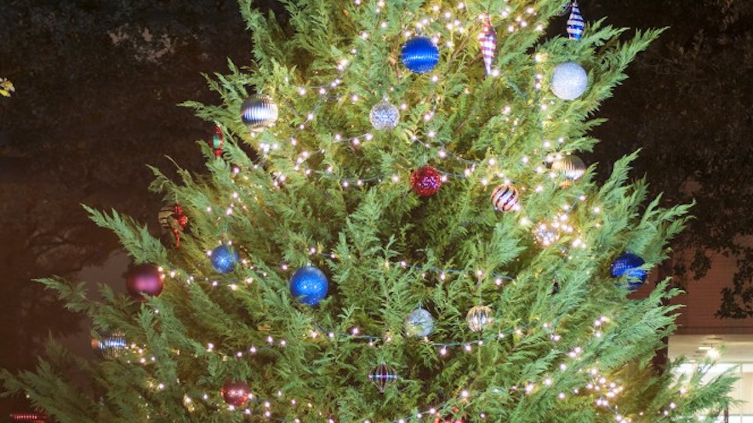 Carolina Service Council held the 61st Annual Tree lighting ceremony on the Horseshoe on Tuesday.