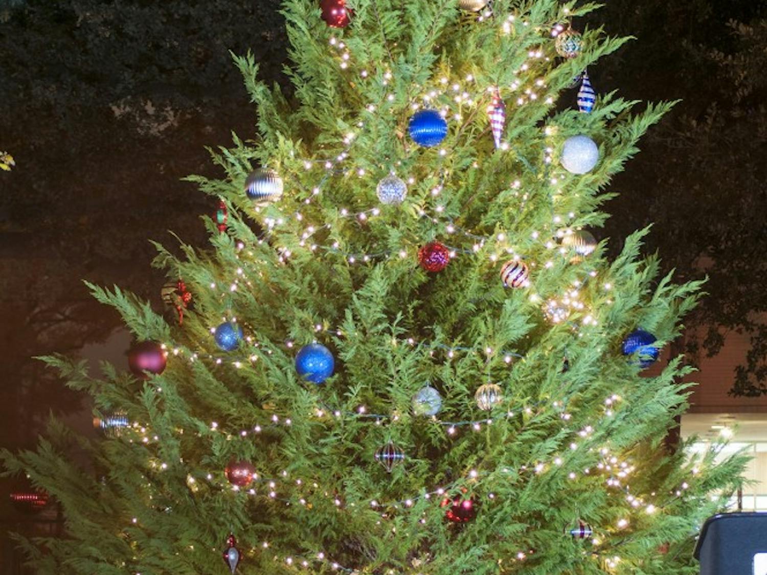 Carolina Service Council held the 61st Annual Tree lighting ceremony on the Horseshoe on Tuesday.