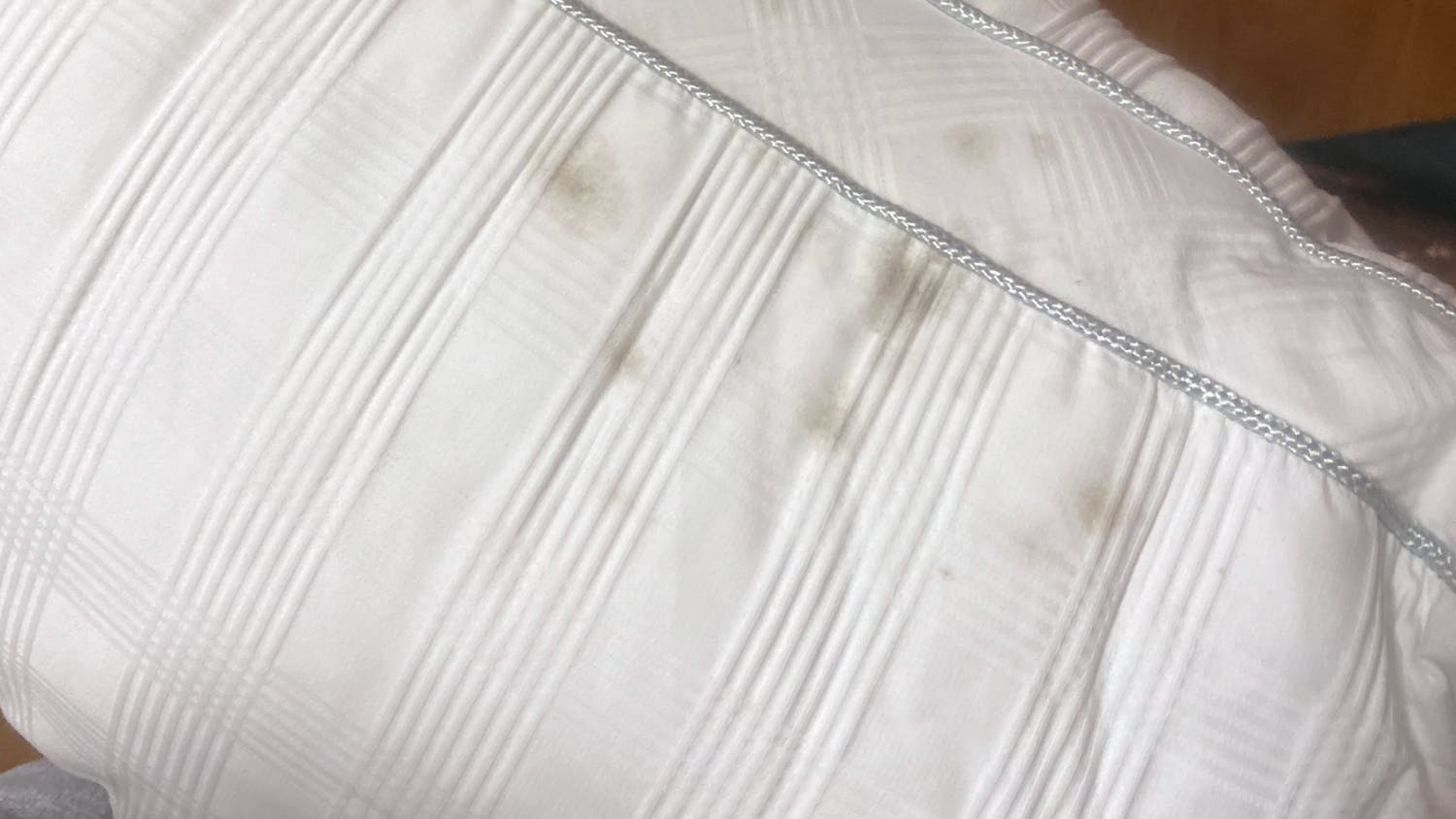 A mold-stained pillow after being dry-cleaned in January 2021. Fourth-year public health student Kendall Guthrie found the mold in her room at Capstone when returning to campus after winter break.