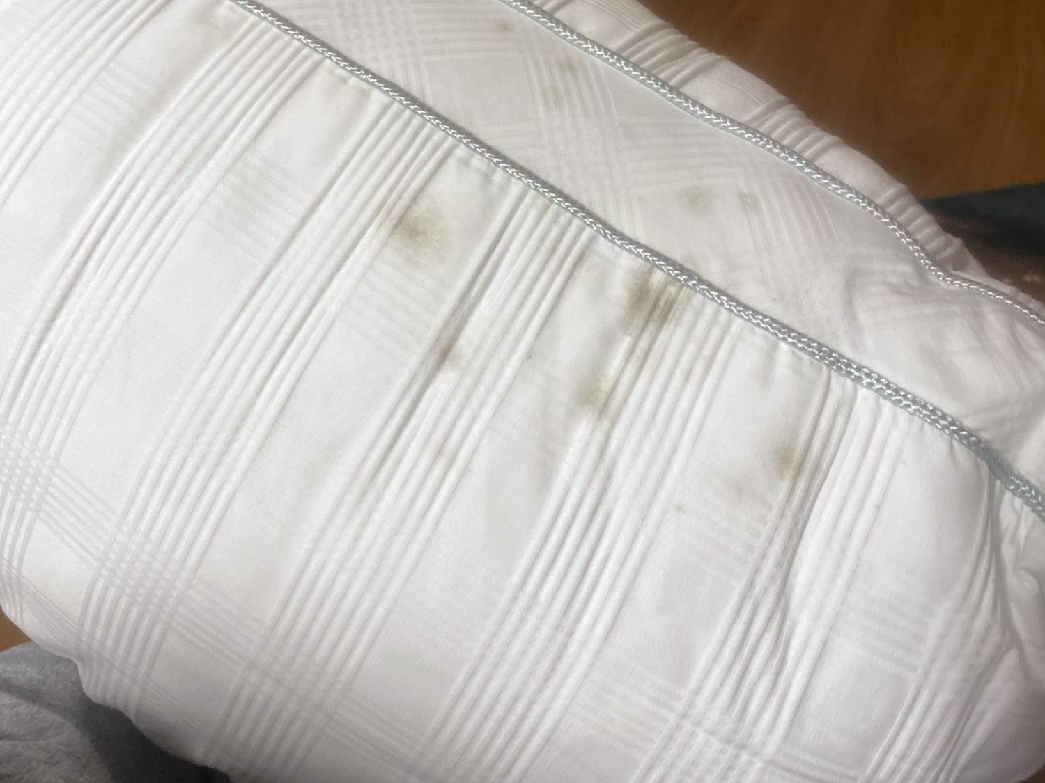A mold-stained pillow after being dry-cleaned in January 2021. Fourth-year public health student Kendall Guthrie found the mold in her room at Capstone when returning to campus after winter break.