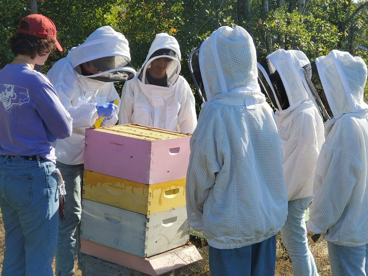 The Carolina Beekeeping Club crowd around beehives in their beesuits. The club is open to all USC students and faculty who share a passion for “protecting our pollinators.” 