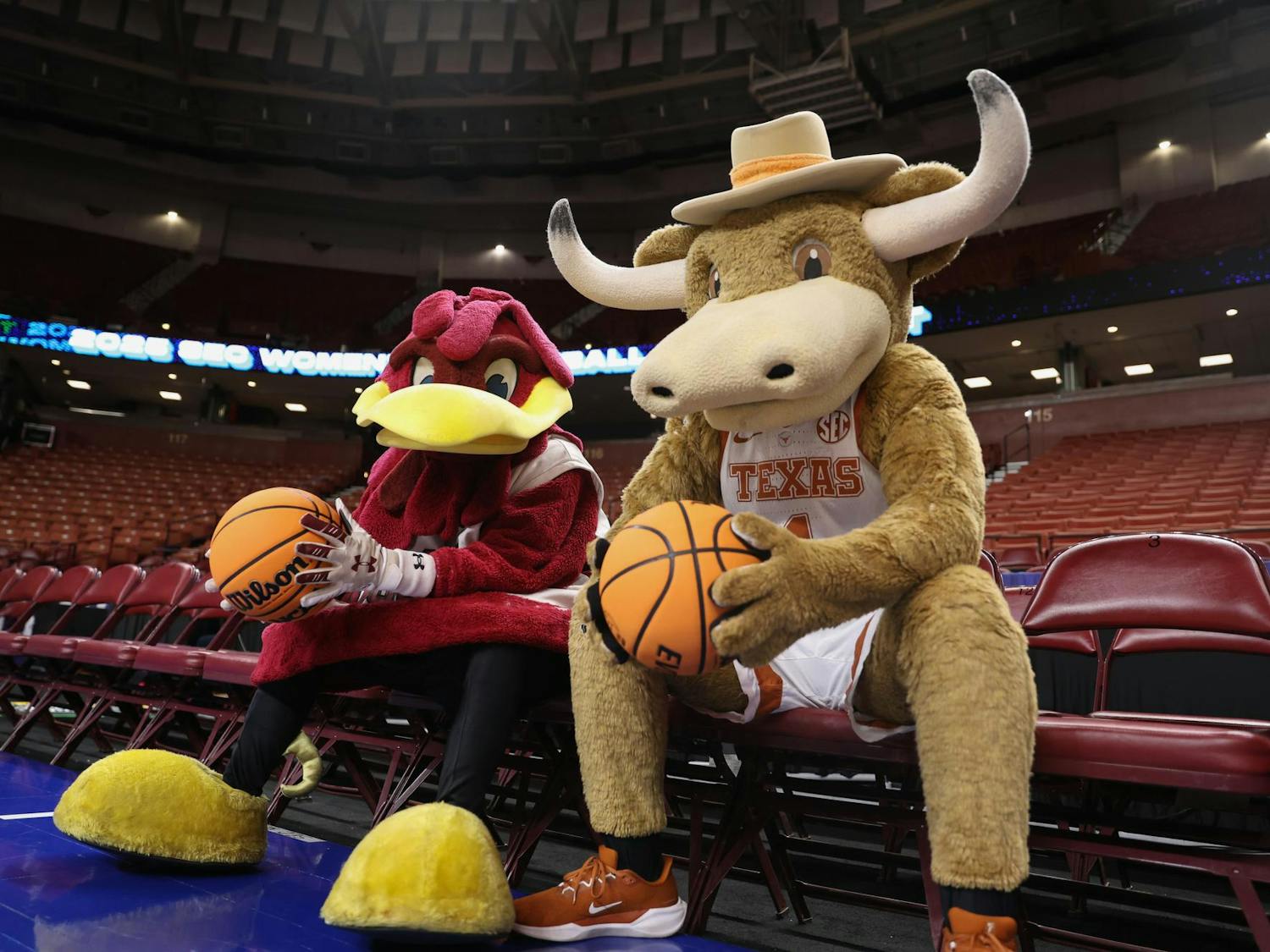 USC mascot Cocky and University of Texas mascot Hook 'Em sit together before the championship game between the two schools at the SEC Tournament in Greenville, SC on March 9, 2025. The Gamecocks and Longhorns previously played in two separate season games and both held a 1-1 win-lose streak against each other.