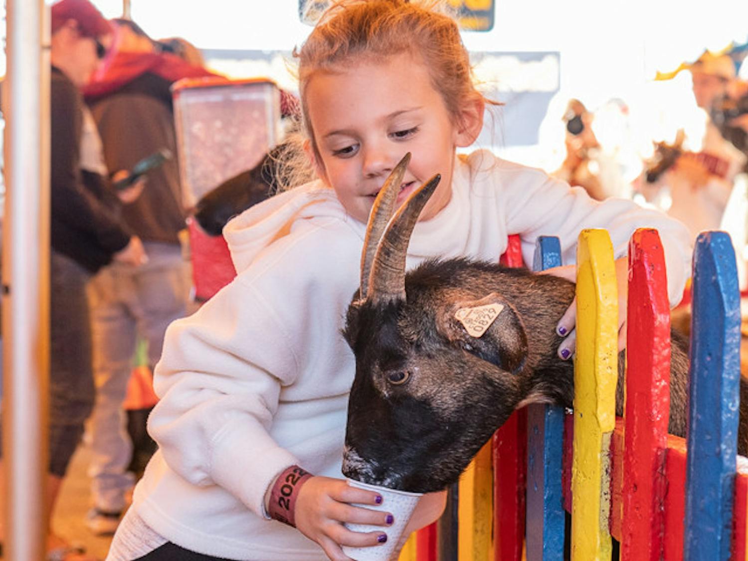 Arlen Burnett, a 6-year-old Lexington resident, feeds a goat at the South Carolina State Fair petting zoo on Oct. 18, 2022. The S.C. State Fair petting zoo is a popular attraction amongst animal lovers, small children and many other members of the Columbia community. 