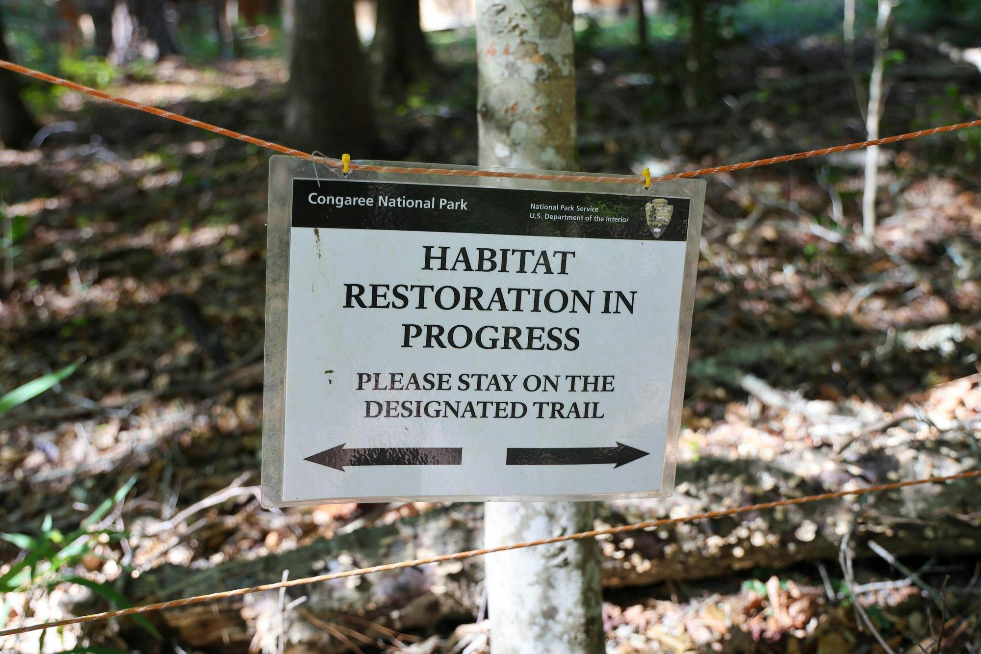 A white and black sign reading "HABITAT RESTORATION IN PROGRESS" and "PLEASE STAY ON THE DESIGNATED TRAIL" hangs on a thin orange rope on a trail in the Congaree National Park. 