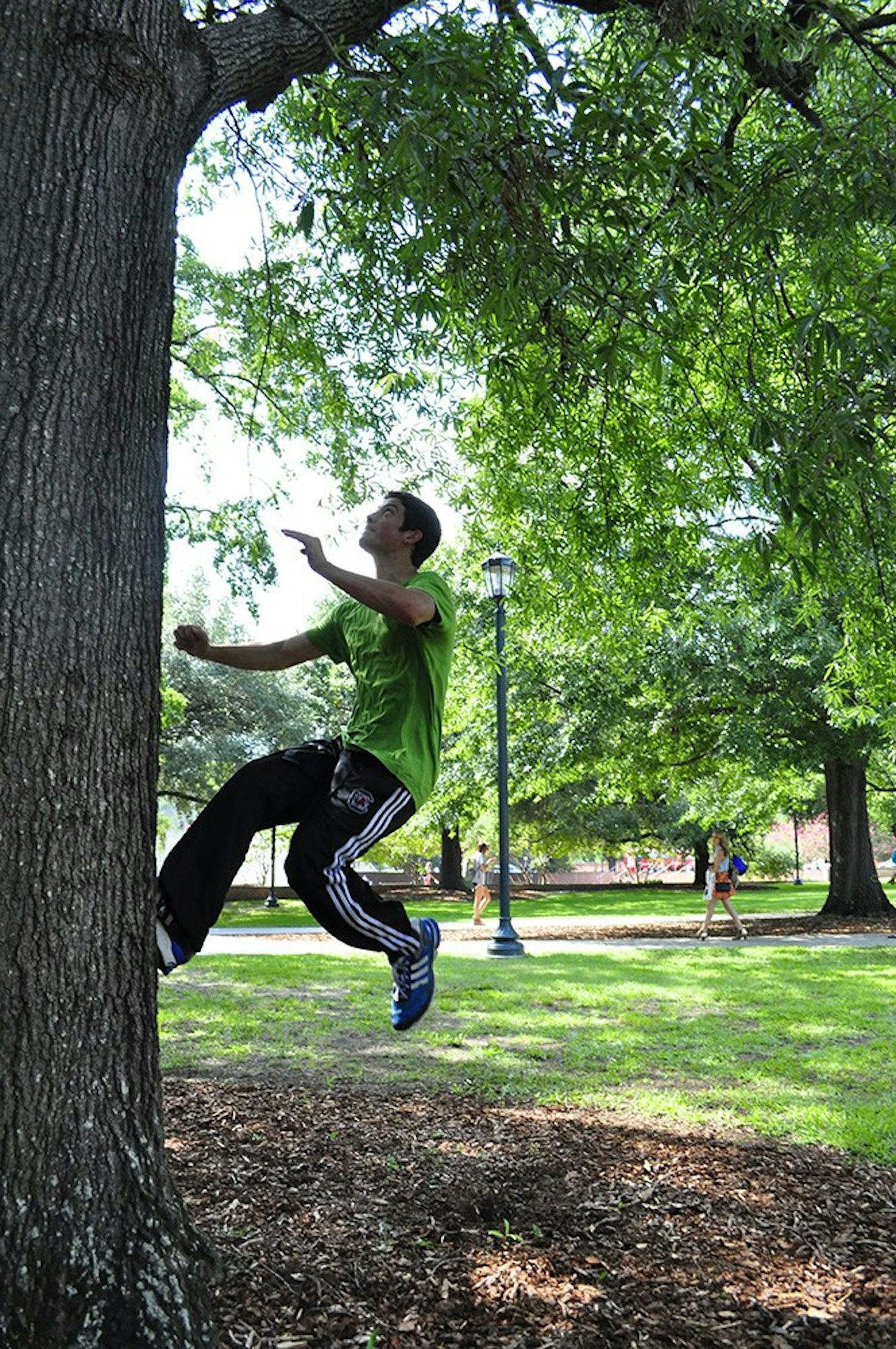 	Holaus doing a tree run, a variation on the wall run