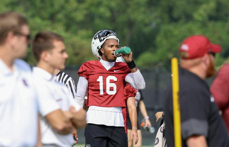 Kendal Briles looks to resurge Gamecocks offense - The Daily Gamecock