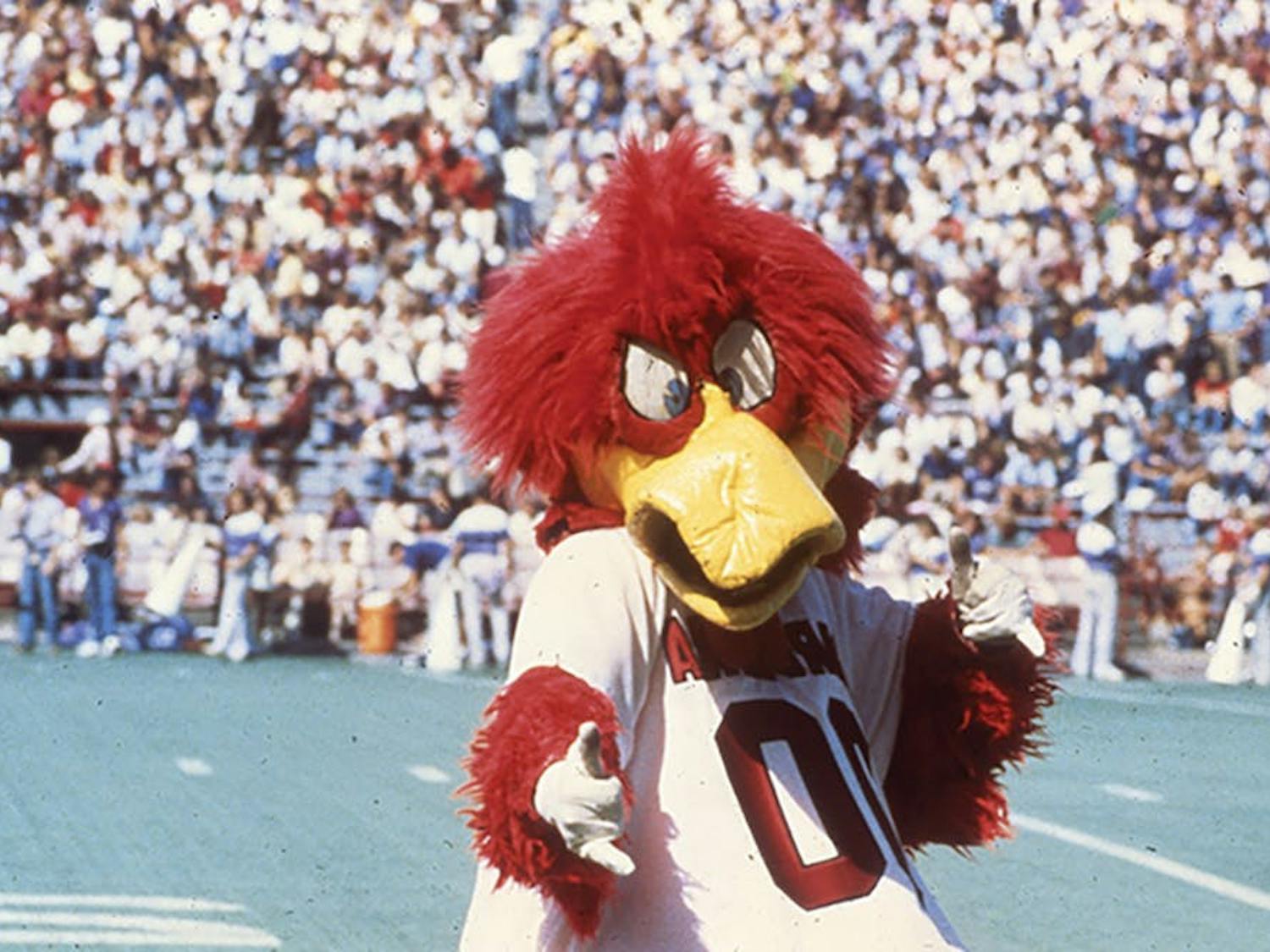 Cocky on the football field in the 1980s. At first, many students were not on board with the mascot’s new, friendlier look.