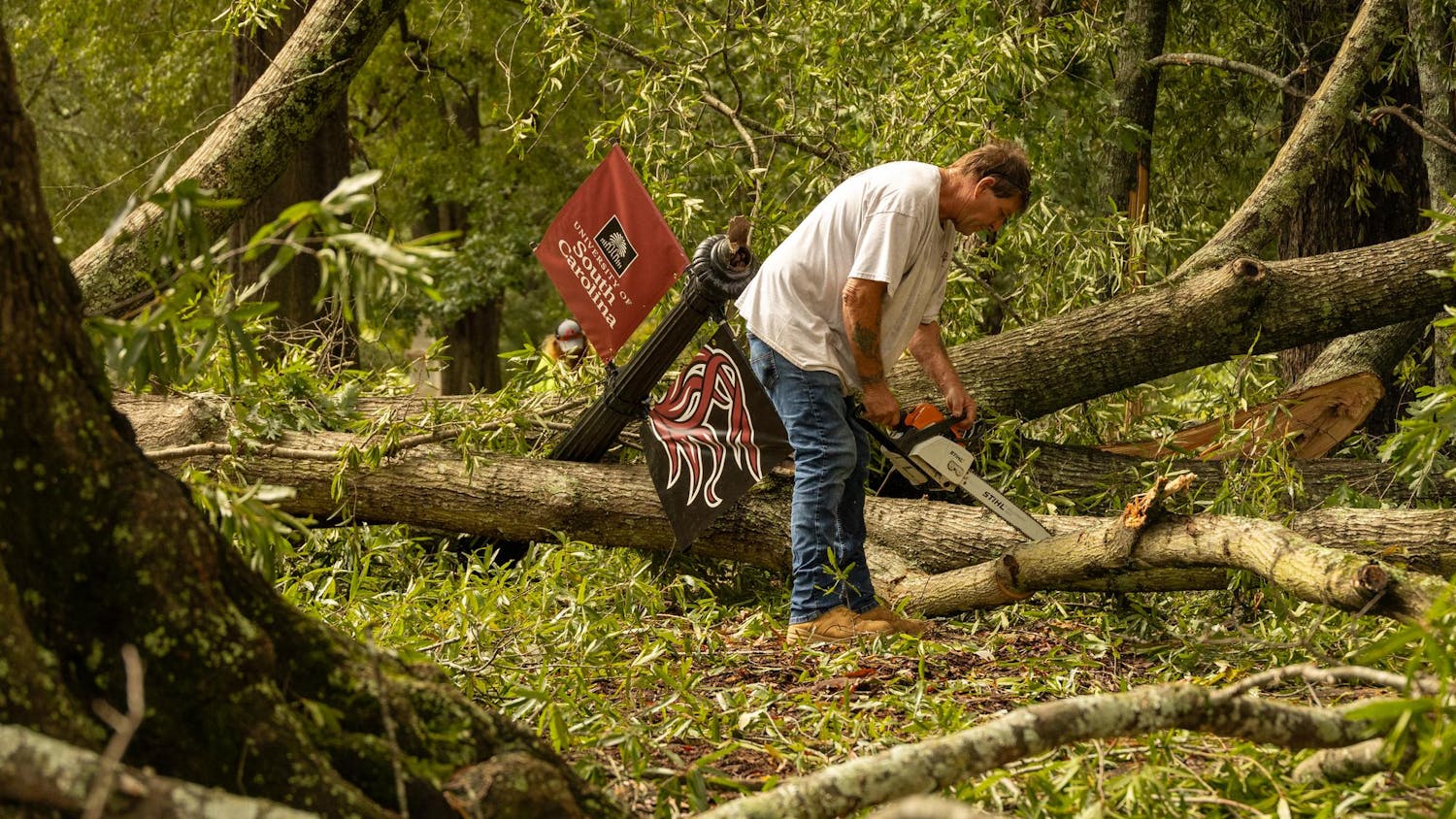 A man with a chainsaw cuts branches off a tree that fell in front of DeSaussure Hall on Sept. 27, 2024. The tree fell after Hurricane Helene hit the University of South Carolina.