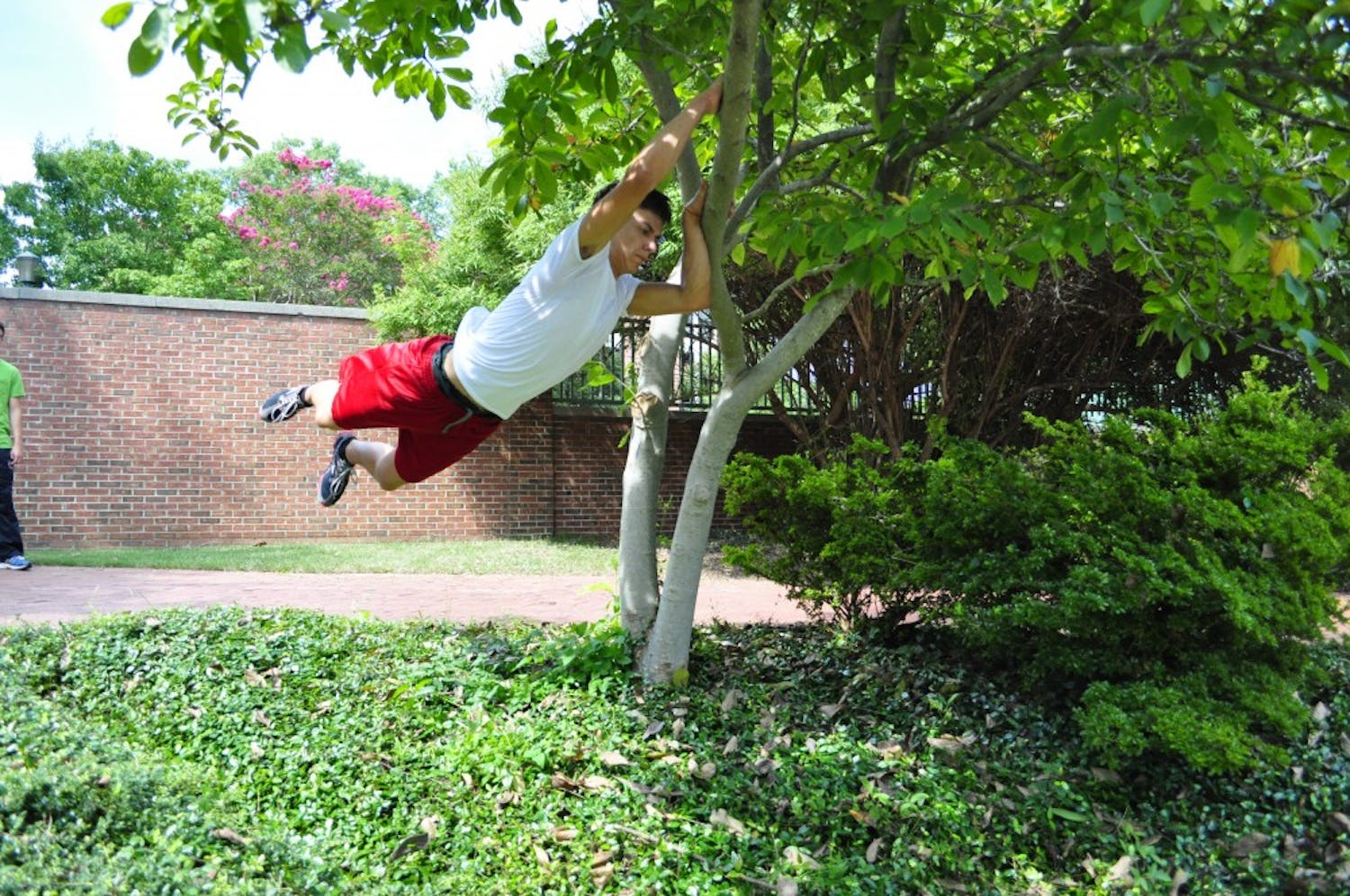 	Will Long doing a laches (pronounced lashay) off of a tree branch