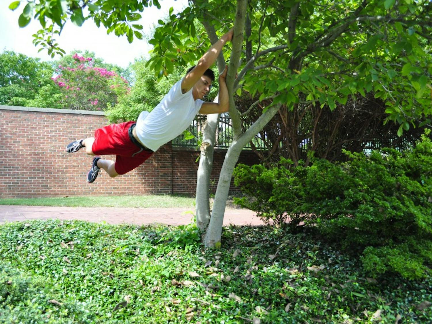 	Will Long doing a laches (pronounced lashay) off of a tree branch