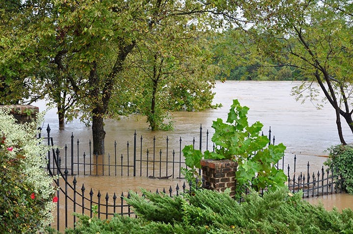 Congaree River Walk at 3 p.m.