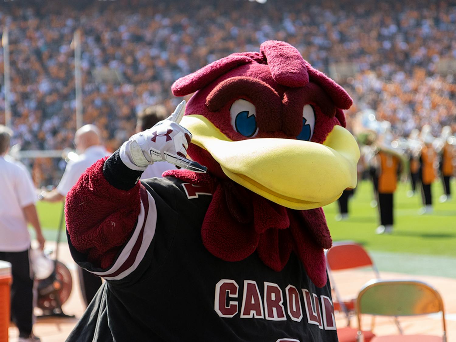 Cocky on the sideline of Neyland Stadium on Oct. 9, 2021.