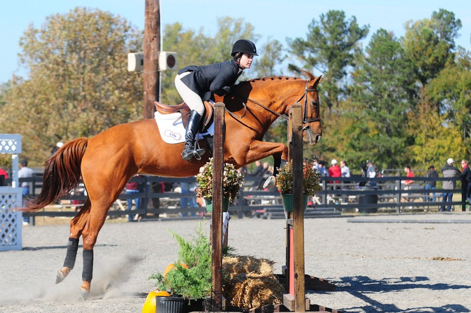	Senior Kimberly McCormack (above) and the equestrian team will compete at nationals after winning the SEC Championship.