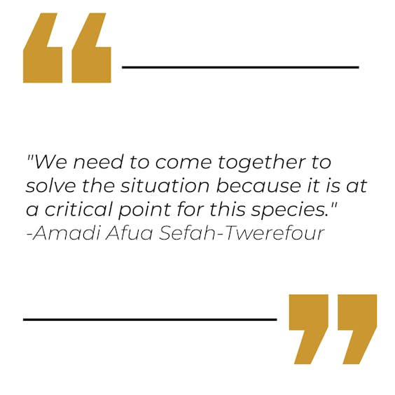 New PQ Format-2.ai - 1