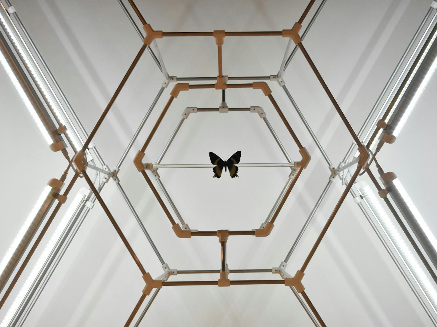 "Anthropocene Hex Sign" by Eli Kessler uses the butterfly species Parnassius Phoebus and Alcides Orontes to create a hive-like structure housing the butterflies. The sculpture is created with aluminum, 3D-printed PLA plastic and LED lights.