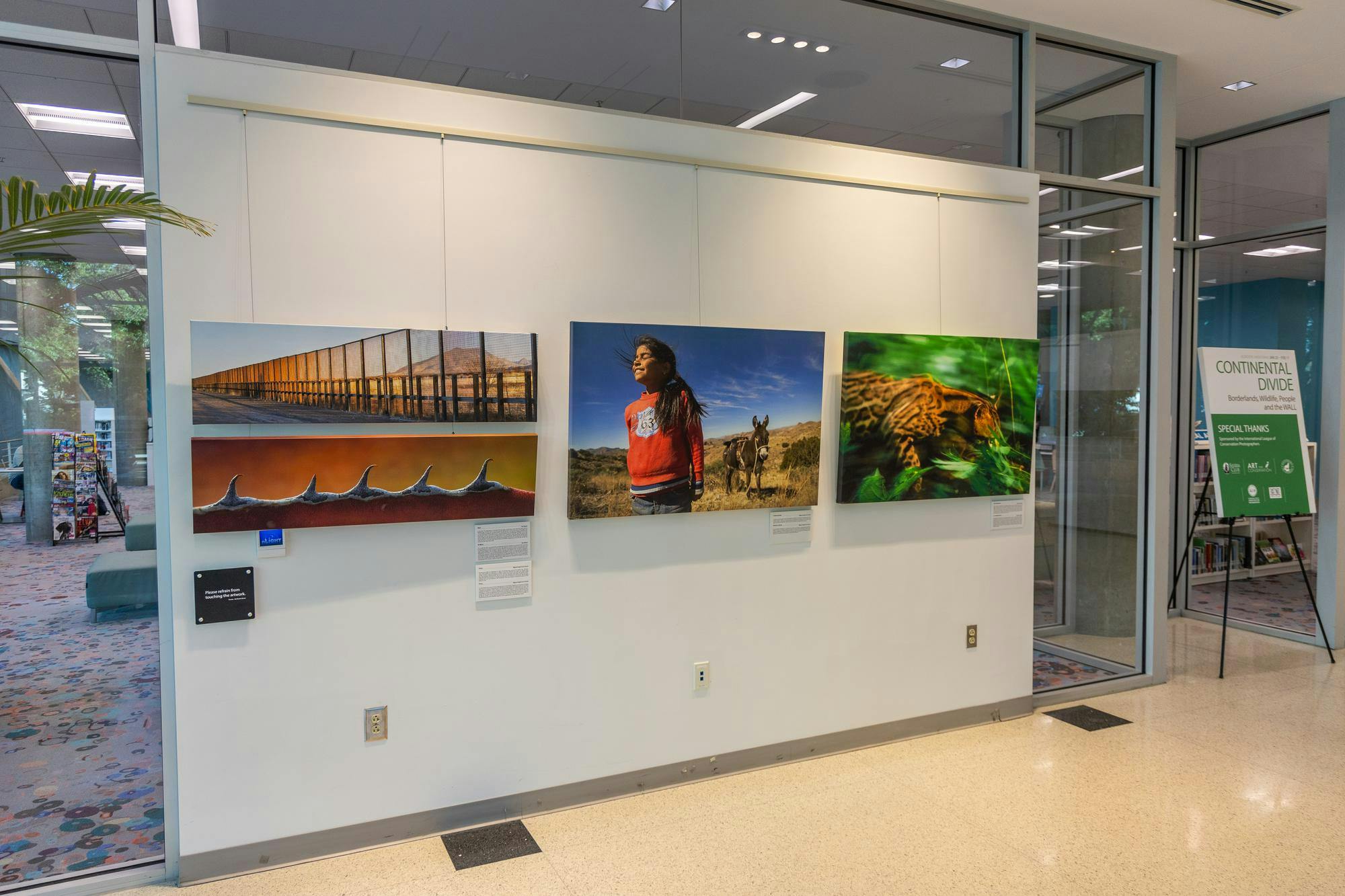 Three nature portraits are displayed on a white wall against a large window pane. The portraits are as follows: an expansive view of the U.S.-Mexico border wall cutting through the desert, a portrait of a young girl with a donkey and a close-up view of a jaguar.