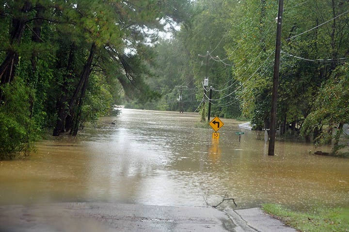 Tall Pines Road at 5 p.m.