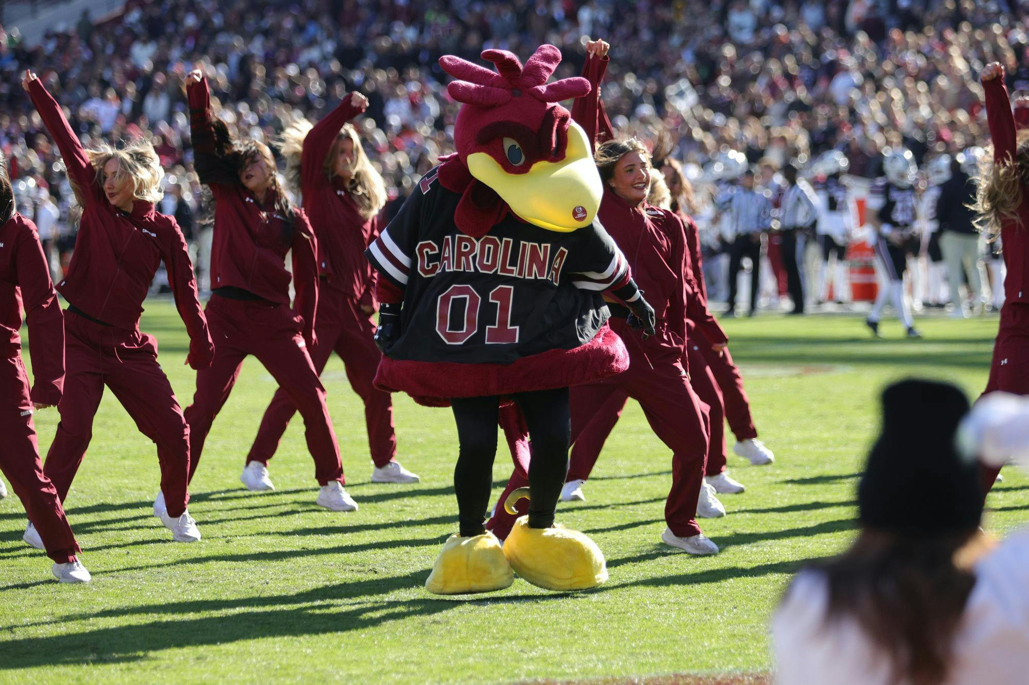 Cocky dances with the USC cheerleaders during a timeout at the Gamecocks’ matchup against the Tigers on Nov. 29, 2025, at Williams-Brice Stadium. The mascot joins the spirit squads throughout the game to keep fans energized.
