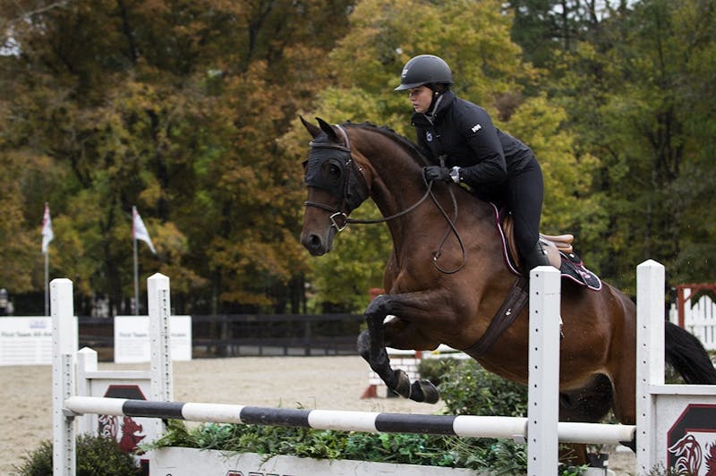 South Carolina Equestrian Rides to Victory Over UT Martin The Daily