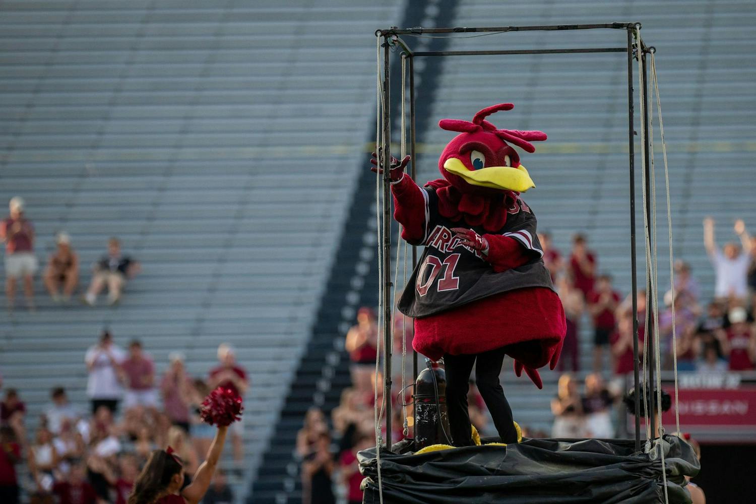 Cocky, South Carolina's mascot, emerges from his cage during pre-game festivities prior to the 2024 Garnet &amp; Black Spring Game at Williams-Brice Stadium on April 20, 2024. The Garnet team ultimately defeated the Black team 17-0.