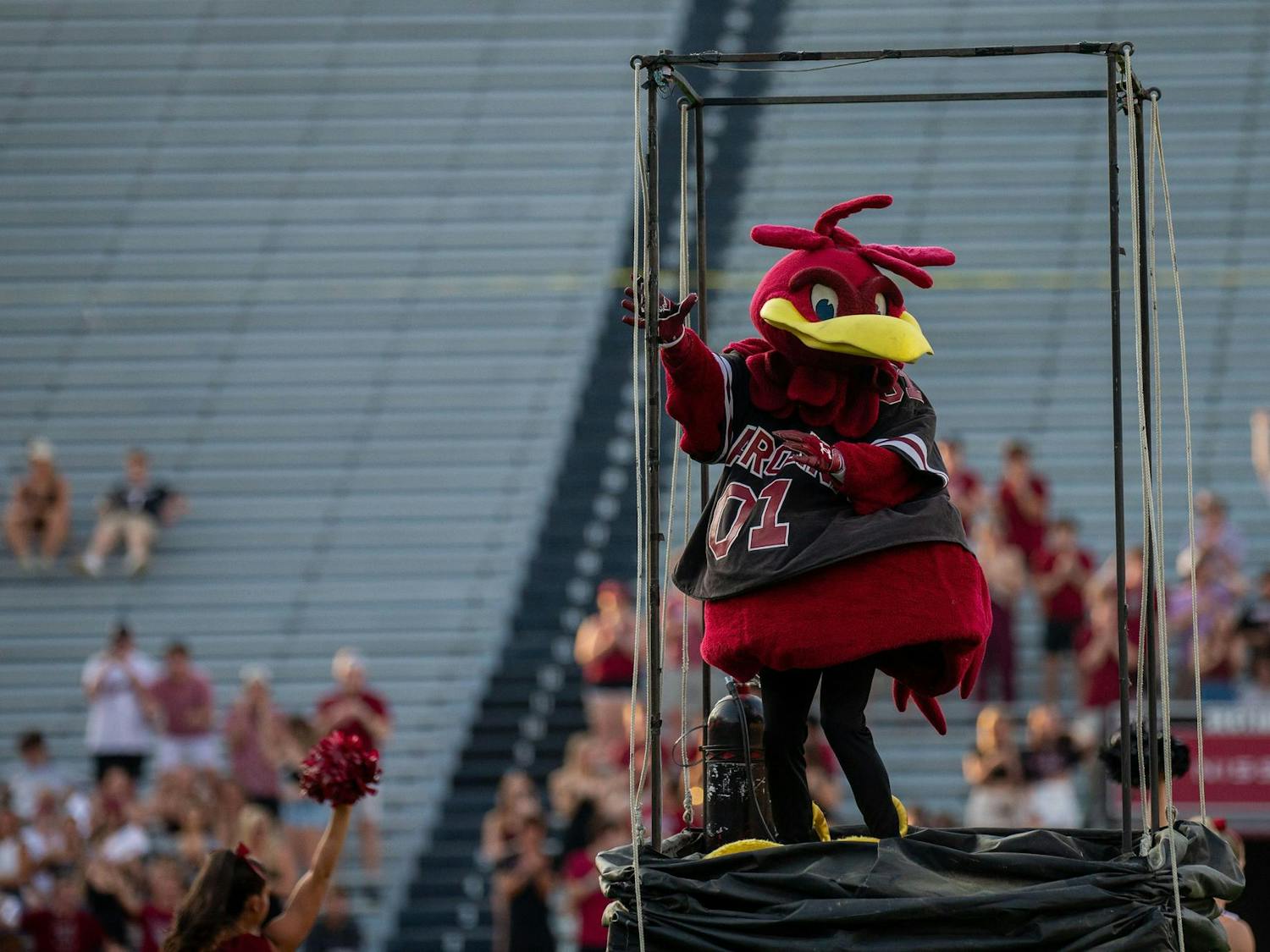 Cocky, South Carolina's mascot, emerges from his cage during pre-game festivities prior to the 2024 Garnet &amp; Black Spring Game at Williams-Brice Stadium on April 20, 2024. The Garnet team ultimately defeated the Black team 17-0.