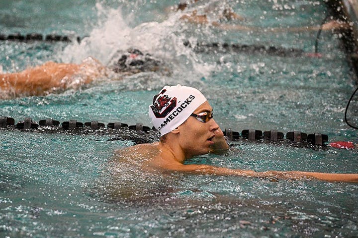 Fifth-year freestyle swimmer Tamas Novoszath in the pool for the Gamecock swimming and diving team.