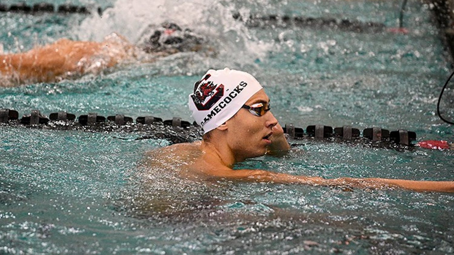 Fifth-year freestyle swimmer Tamas Novoszath in the pool for the Gamecock swimming and diving team.