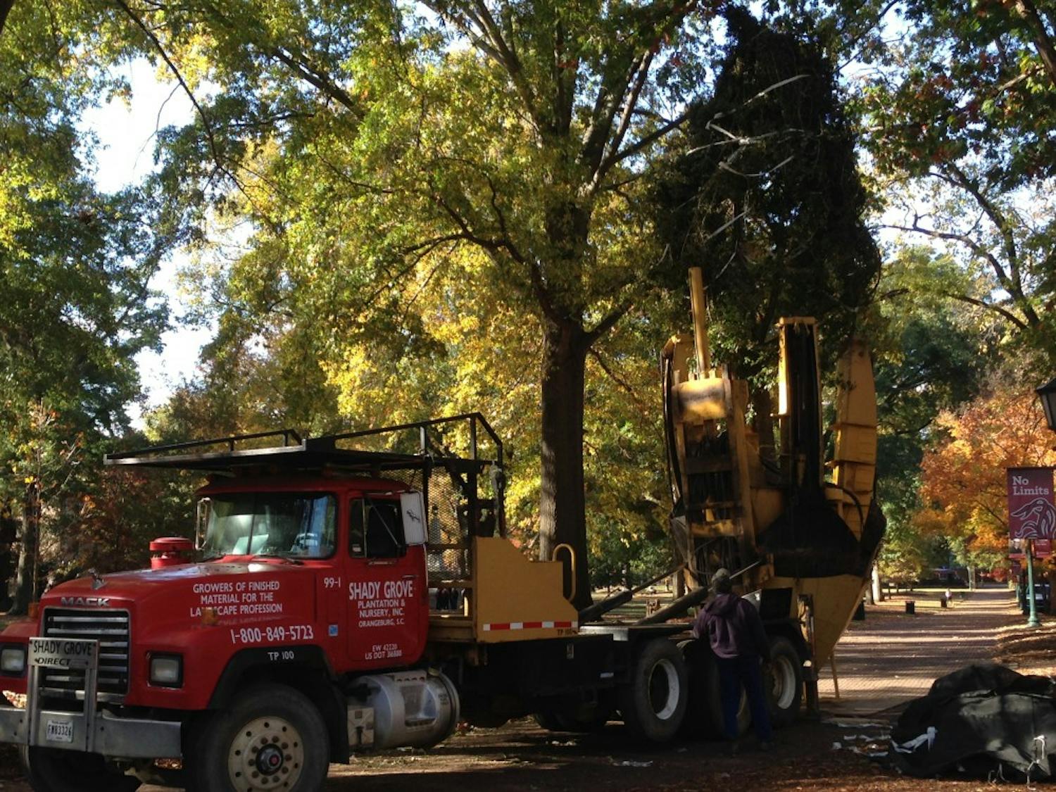 	Crews plant a 20-foot oak tree on the Horseshoe where three paths intersect near the Osborne Administration Building.