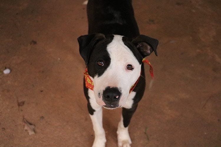 Carpenter loves cheese.