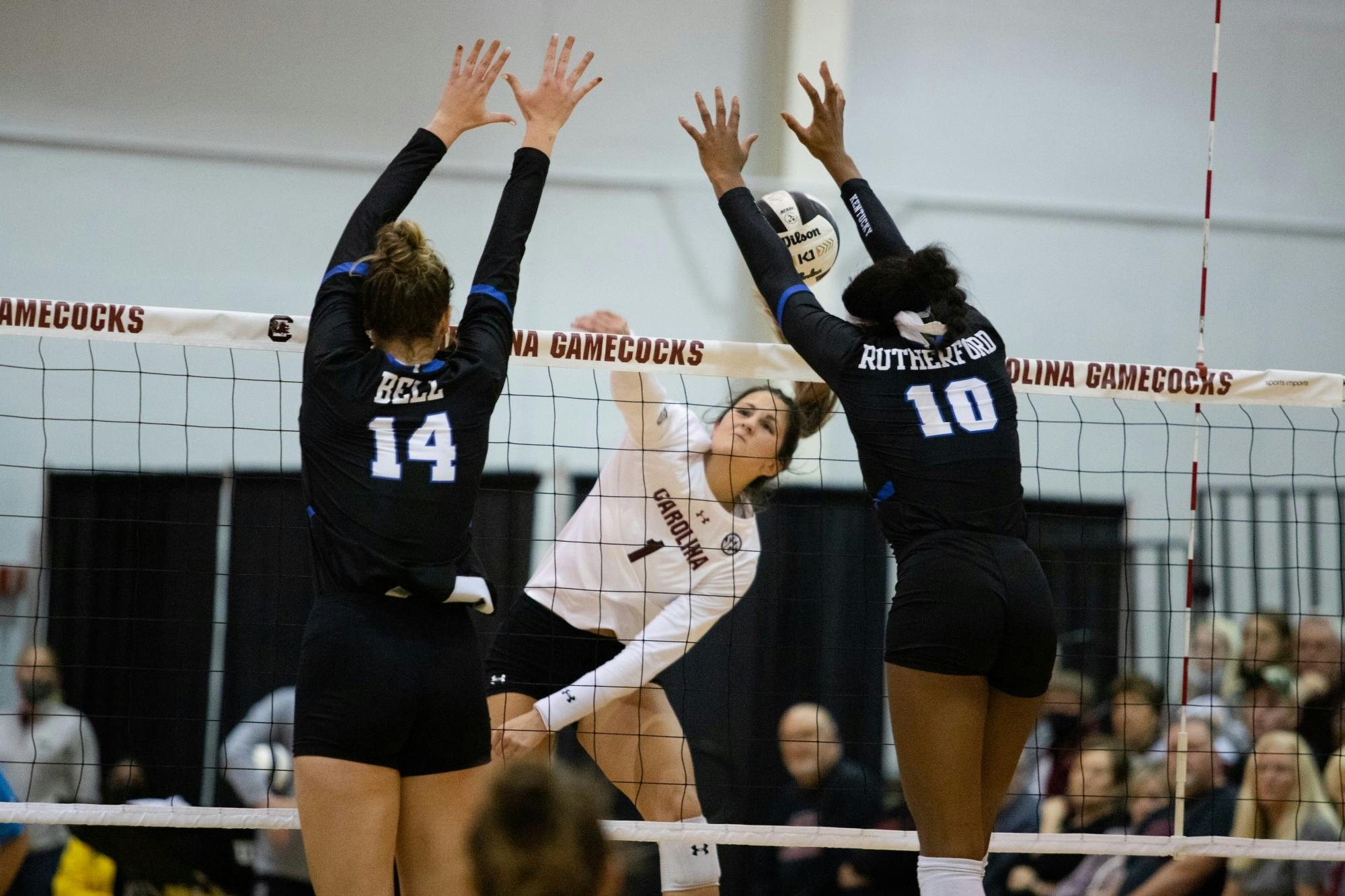 Freshman Lauren McCutcheon swings against an imposing Kentucky block.