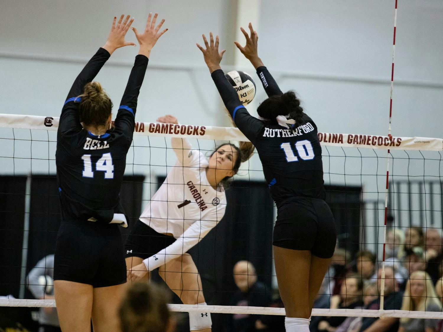 Freshman Lauren McCutcheon swings against an imposing Kentucky block.