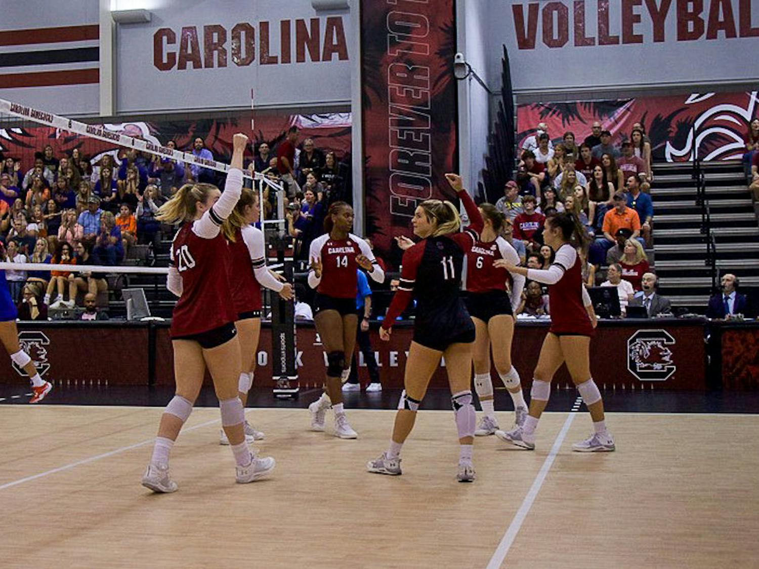 Gamecocks celebrate in unity on the court after gaining a point against the Florida Gators on Sept. 24, 2022. 