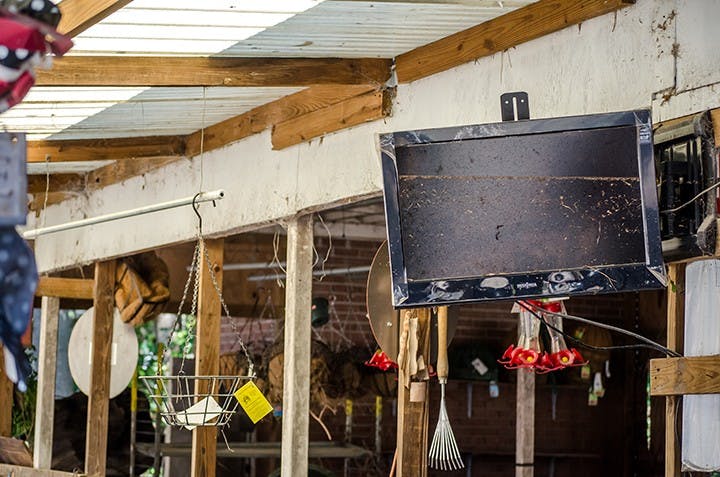 Forest Lake Gardens, Plants, and Produce shop on the intersection of Trenholm Road and Forest Drive, October 6. 
