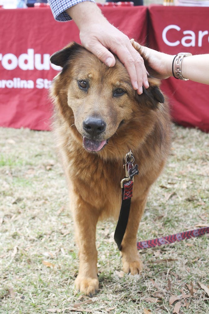 Soda City is Columbia, S.C.'s Main Street market focused on the brain, body, and belly. This event is every Saturday from 9am-1pm year-round, rain or shine. It highlights local businesses, farmers, restraurants, artists, and musicians from around South Carolina. 