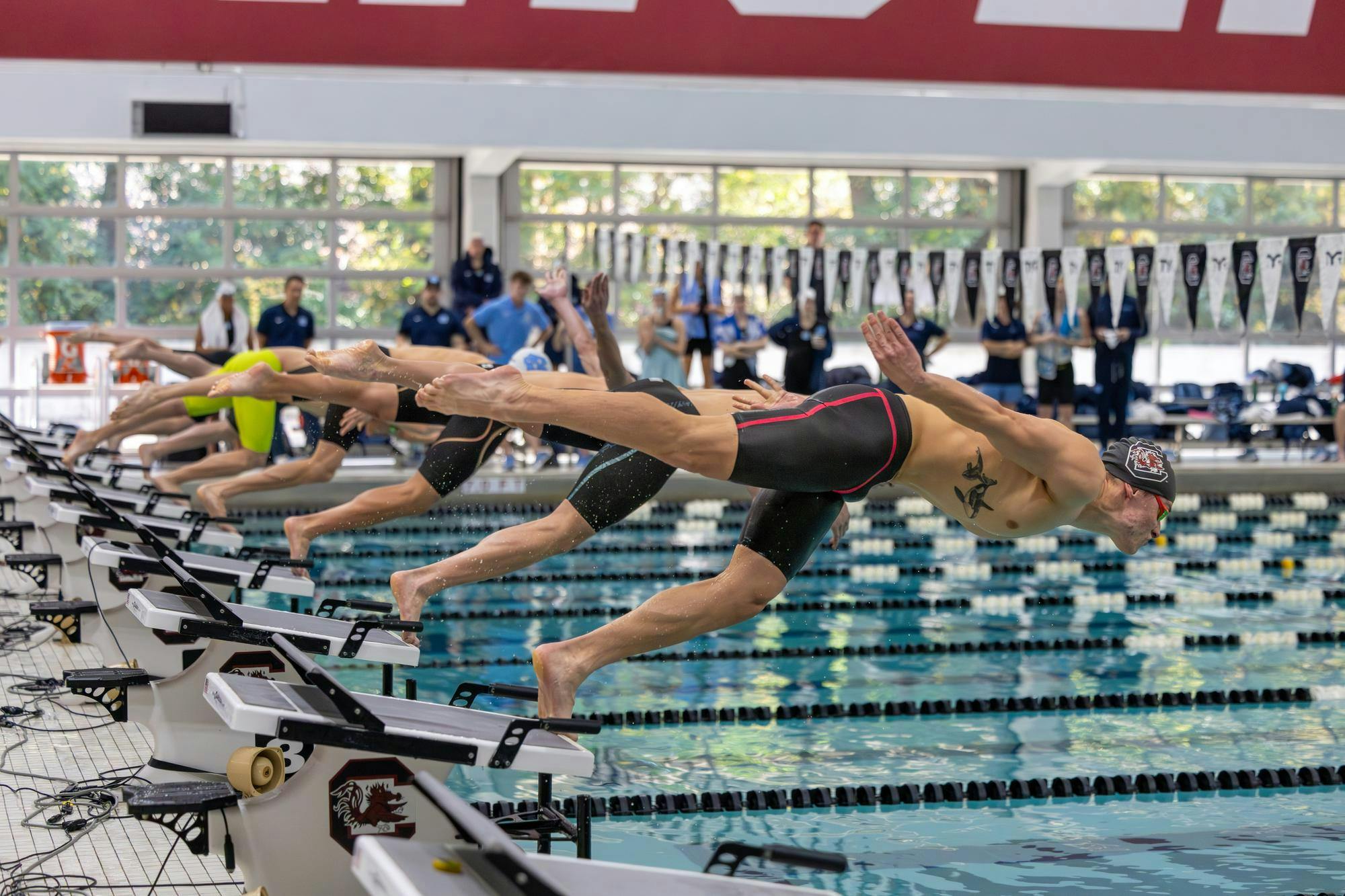 South Carolina and North Carolina swimmers dive off their podiums to start the men’s 50-yard freestyle event on Nov. 7, 2025, at the Carolina Natatorium. The women's team defeated the Tar Heels 176-124 while the men's team lost 174.5-125.5.