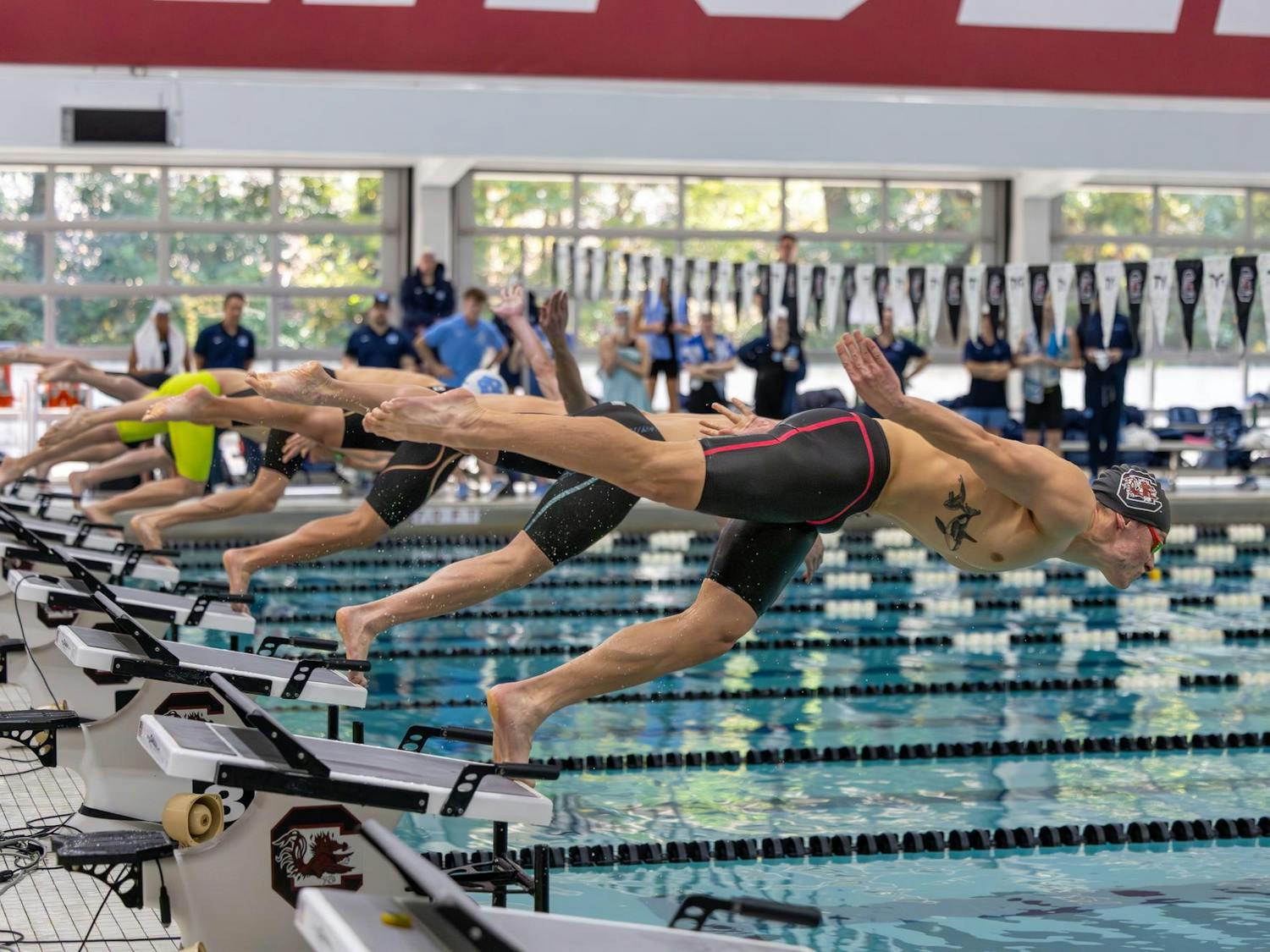 South Carolina and North Carolina swimmers dive off their podiums to start the men’s 50-yard freestyle event on Nov. 7, 2025, at the Carolina Natatorium. The women's team defeated the Tar Heels 176-124 while the men's team lost 174.5-125.5.