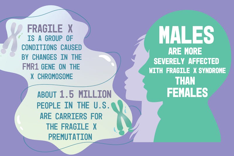 USC receives national grant funding fragile X research