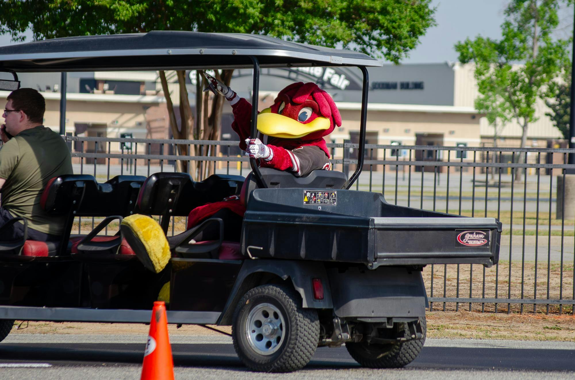 Cocky spurs up in the back of a golf cart ahead of runners in the fifth annual Cocky Trot 5K at the South Carolina State Fairgrounds on April 25, 2026. Cocky rode ahead of participants to encourage them but did not trot himself.
