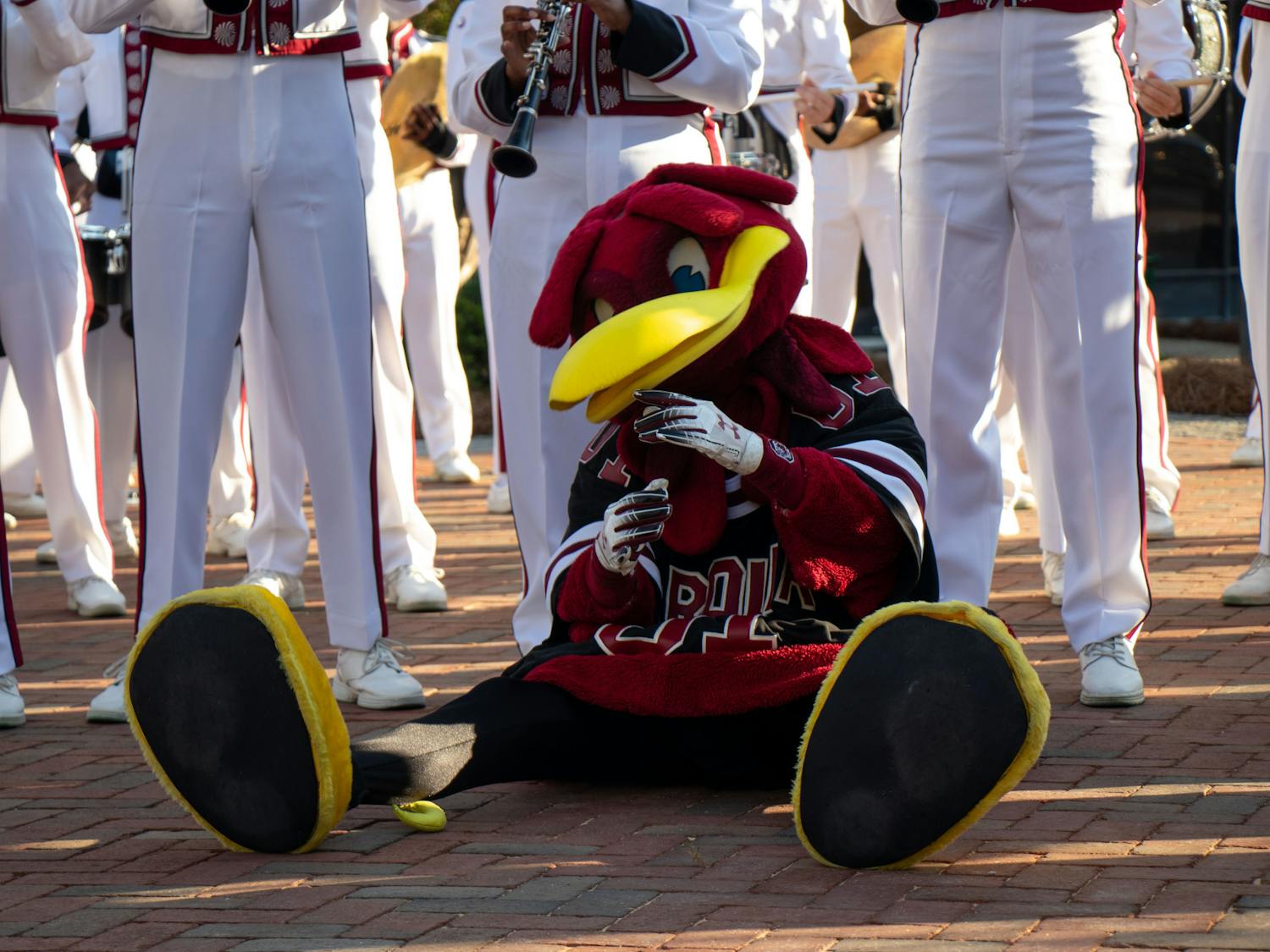 Cocky joins in with the Carolina Band during the Campus Village ribbon-cutting ceremony on Aug. 18, 2023. The ribbon-cutting celebrated the opening of USC's newest dorms with students, administrators, faculty and staff in attendance.